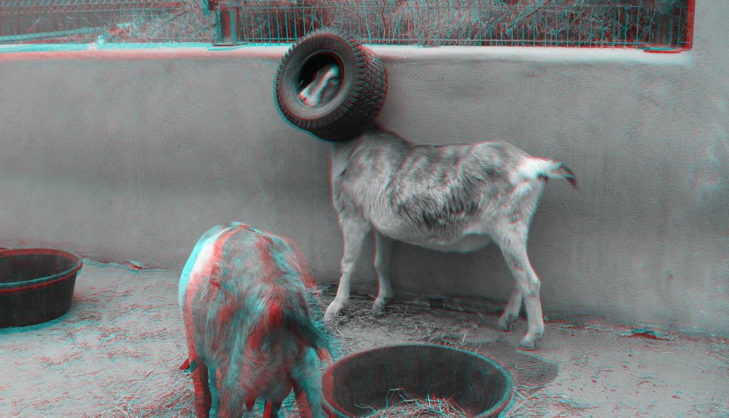 _017.jpg