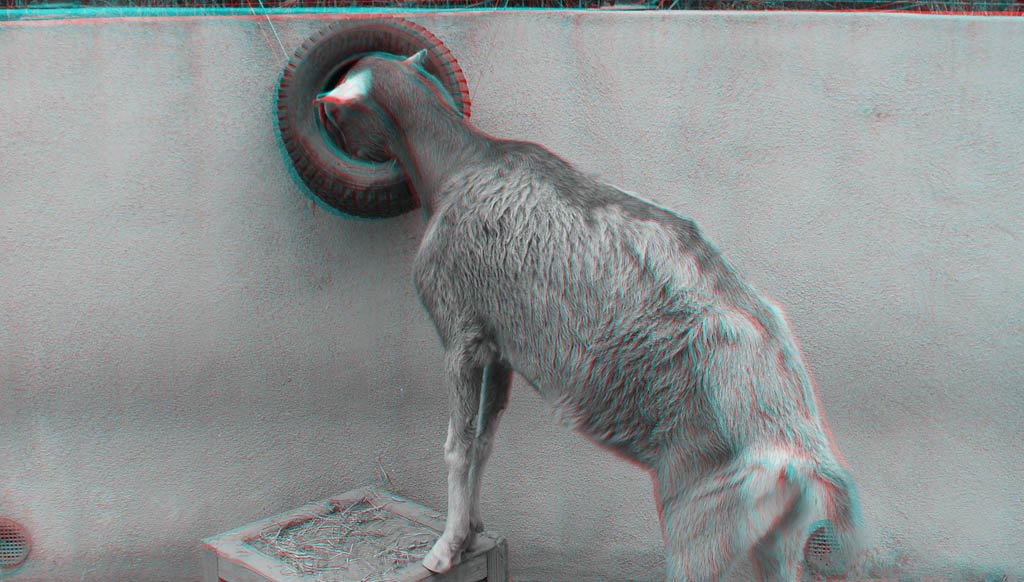 _020.jpg