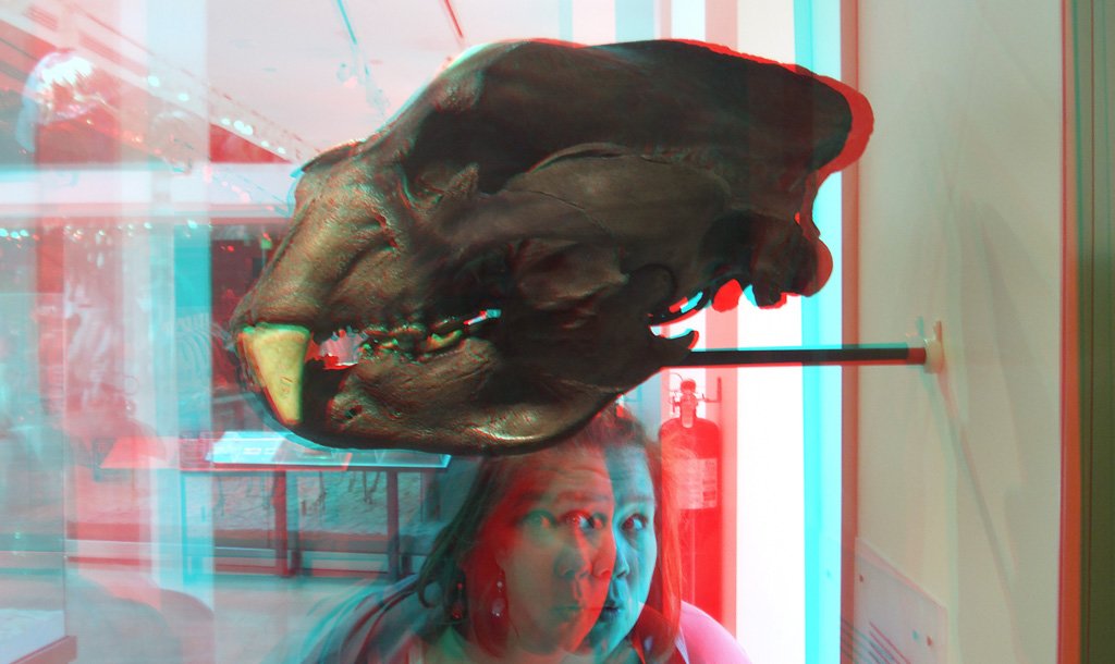 b_3d_056.jpg