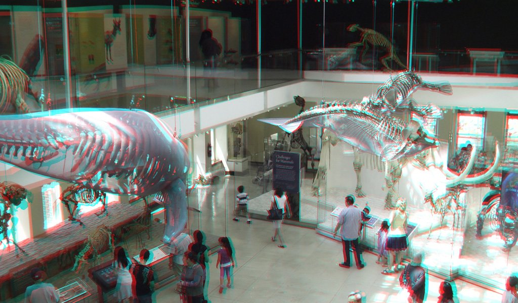 b_3d_062.jpg