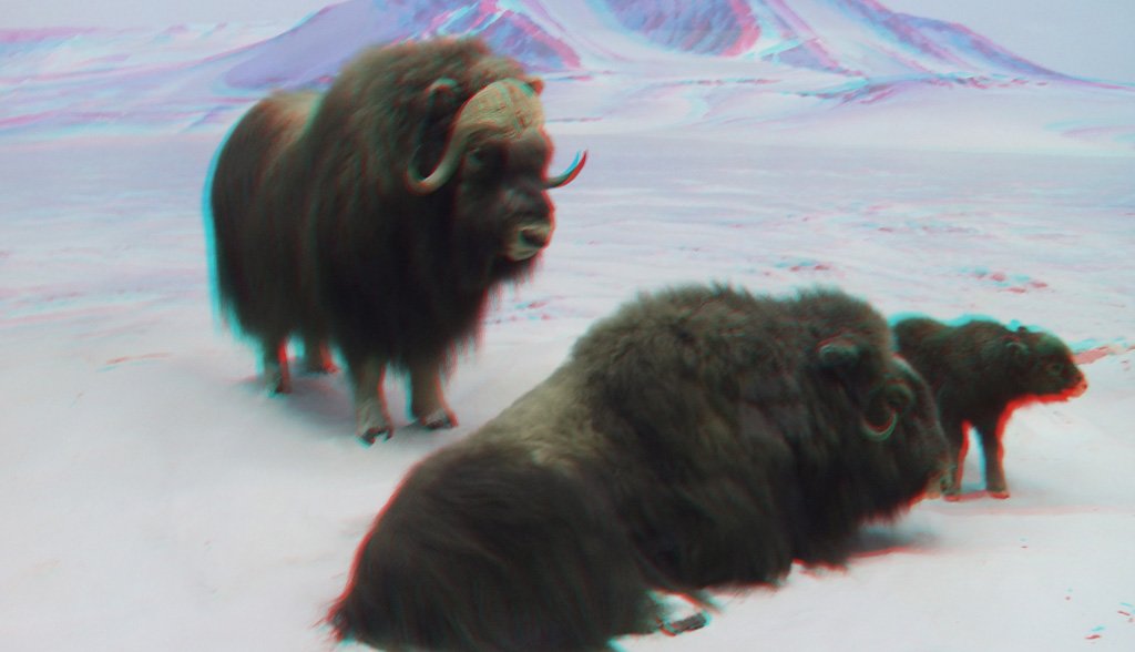 b_3d_067.jpg