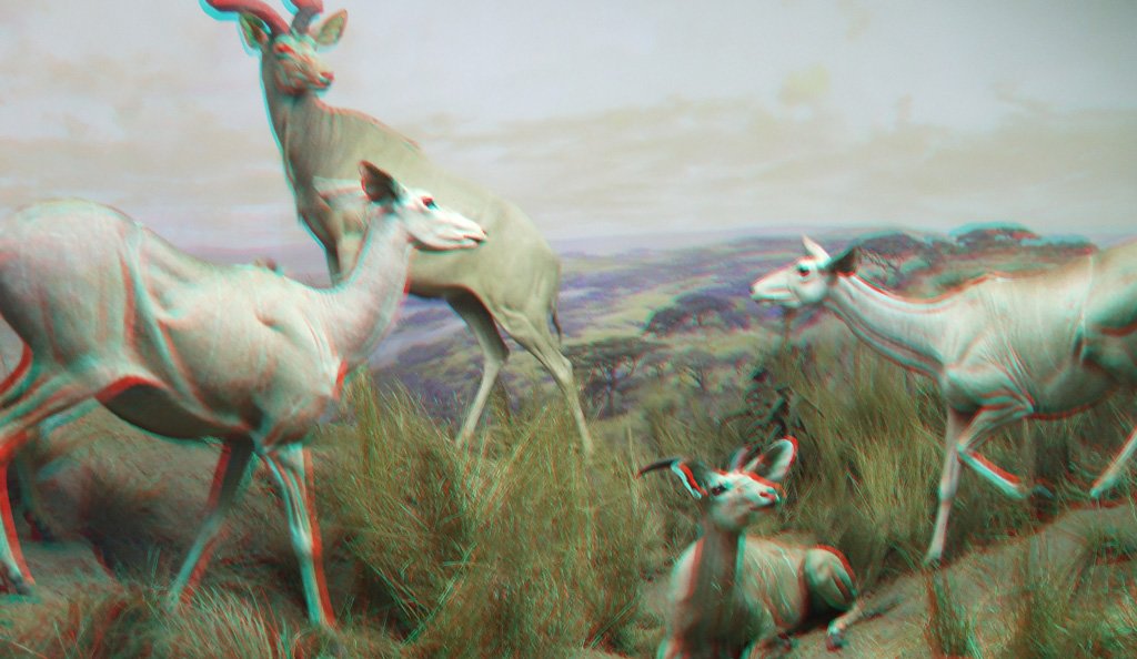 b_3d_074.jpg