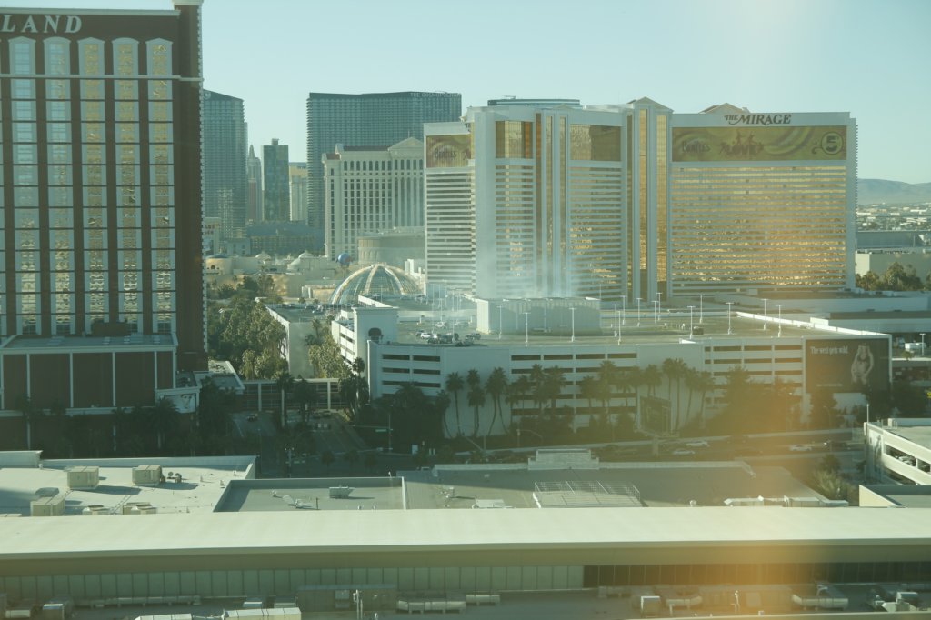 dslr_014.jpg